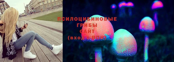 мдма Белокуриха