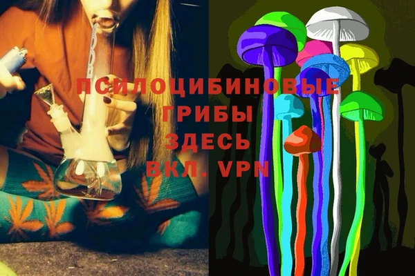 мдма Белокуриха