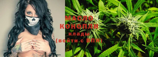 молекула духа Богородск