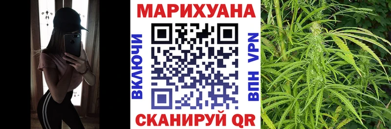 Каннабис OG Kush  Кашира 